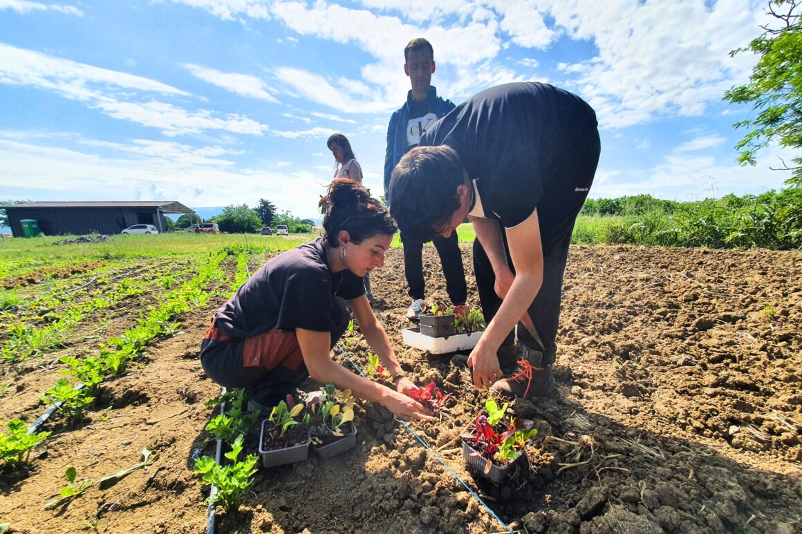 Rispettare la terra e i suoi frutti, coltivare relazioni e amicizie, apprendere competenze nuove. E’ questa l’agricoltura sociale di SEI BIOAS.