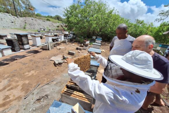 Inclusione e protezione delle persone con disabilità. Nelle Mauritius ENSAMN diventa operativo.